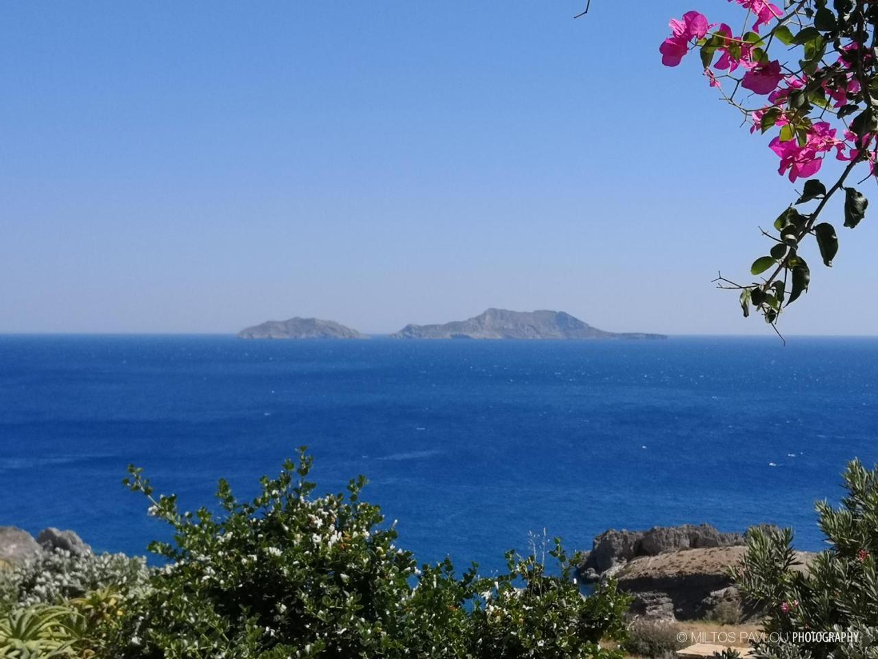Kavos Melissa Studios อากิโอส พาฟลอส ภายนอก รูปภาพ